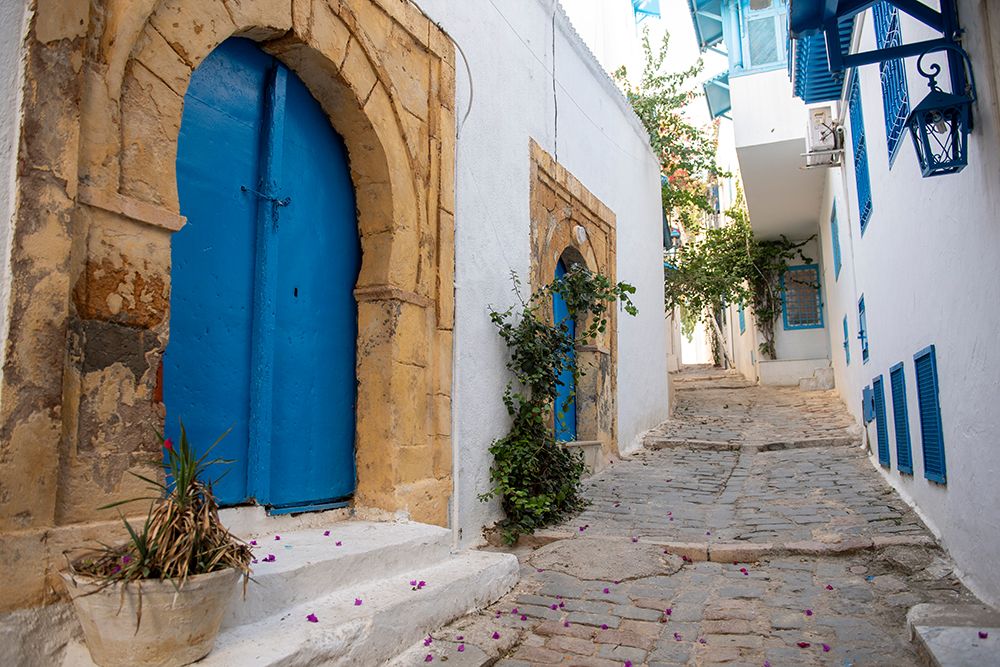 Sidi Bou Said, Tunisia, Africa. A charming alleyway in a town near the Mediterranean.
